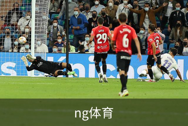 ng体育公司简介